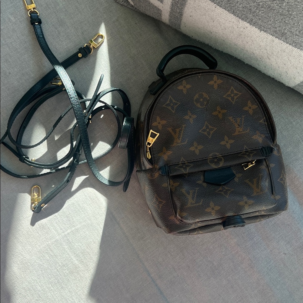 Louis Vuitton Brown and Black Monogram Palm Springs Mini Backpack
